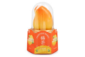 DS Ice Cream Mango 3D 8/3CT